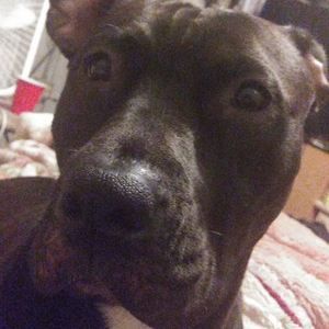 Meet your Posher, Omar